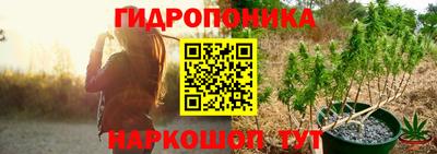 шишки Ликино-Дулёво