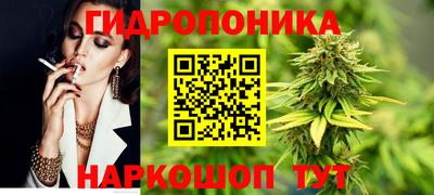 шишки Ликино-Дулёво