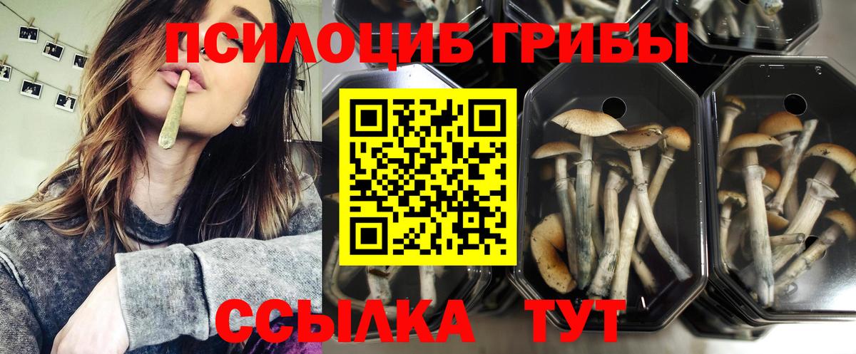 Галлюциногенные грибы ЛСД Выкса