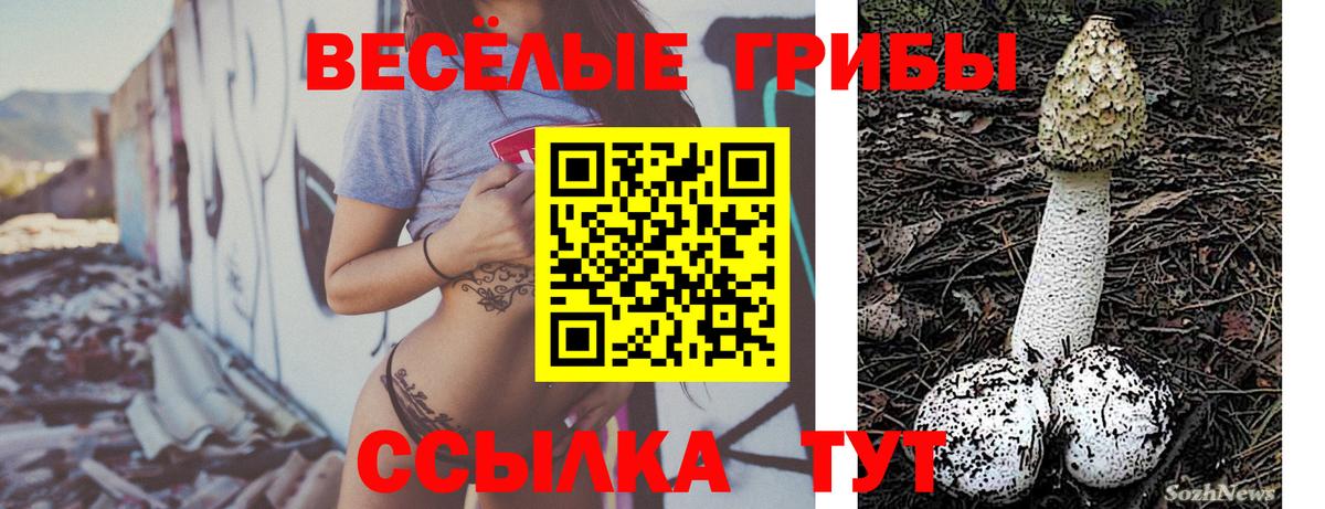 Выкса  Псилоцибиновые грибы Psilocybe  дарнет шоп  Вход с VPN 